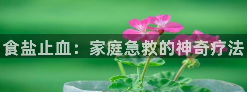 威九国际66m入口