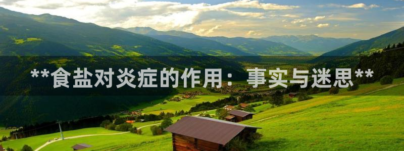 威九国际78mb特点