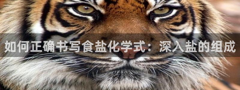 威九国际app客服电话