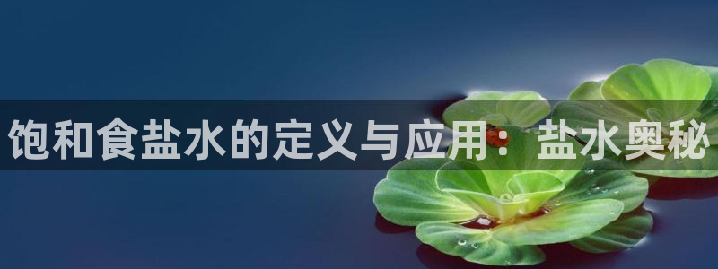 威九国际宣传片