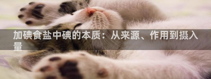 威九国际国精彩片段