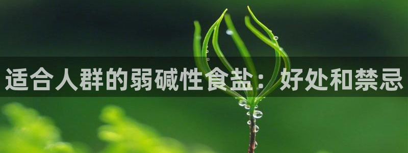 威九国际观看