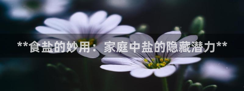 威九国际app网站安全吗