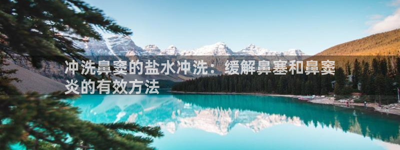 威九国际演员表