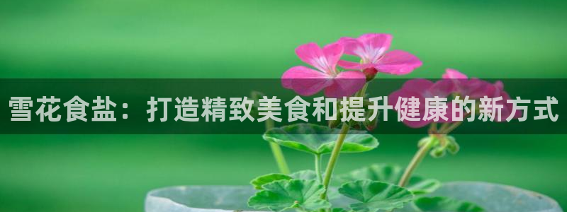 威九国际高清