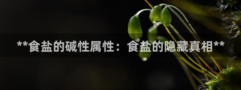 威九国际网站怎么样知乎