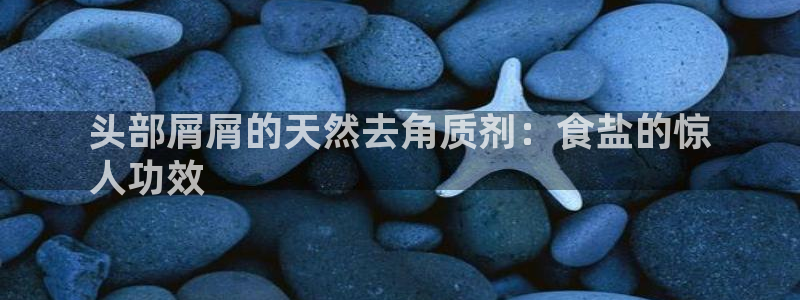 威九国际视频传媒招聘