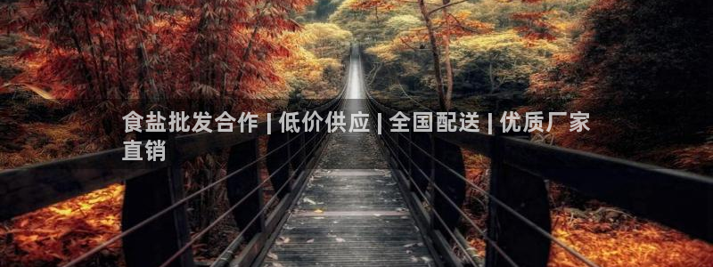威九国际66