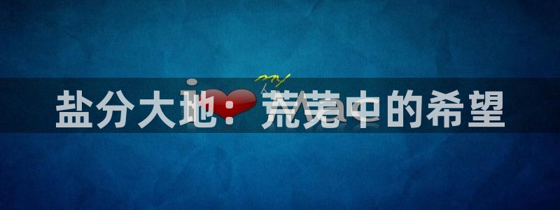 威九国际韩国