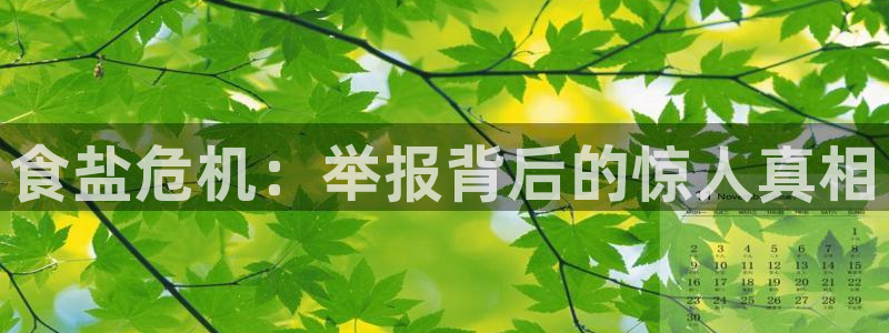 威九国际软件公司简介