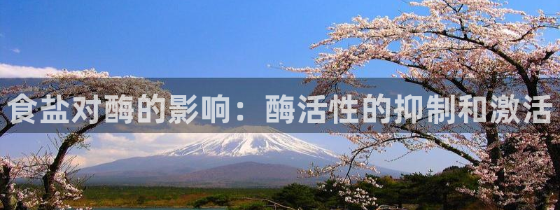 威九国际的金融服务怎么样：食盐对酶的影响：酶活性的抑制和激活