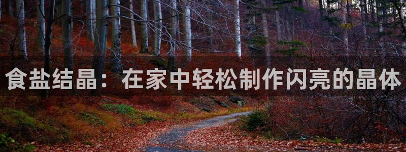 威九国际v96bet官网版