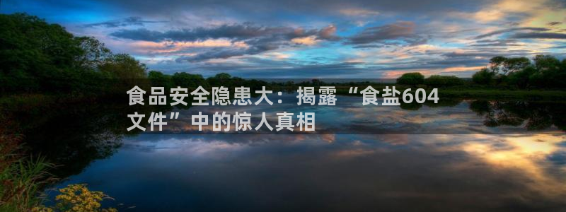78mapp威九国际媒体央视