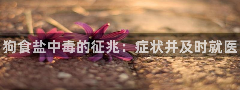 威九国际网站更新了吗