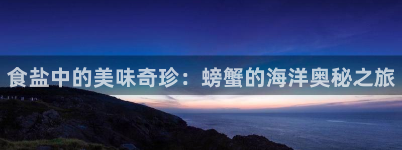 威九国际的金融服务