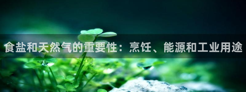 威九国际v96BET