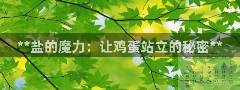 威九国际安全吗的认证团队