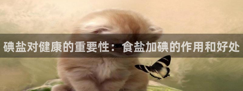 66m威九国际成长模式