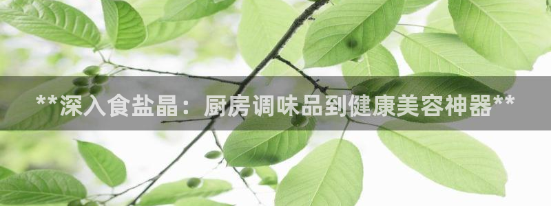威九国际66m66m
