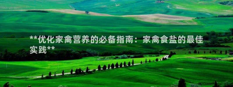 威九国际人民网