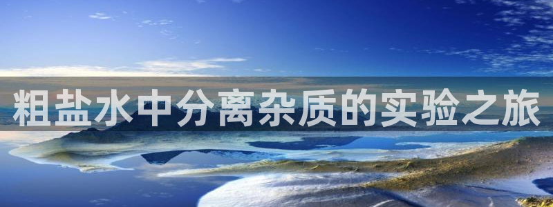 威九国际ppt免费吗