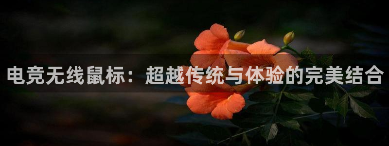 乐竞电竞官网